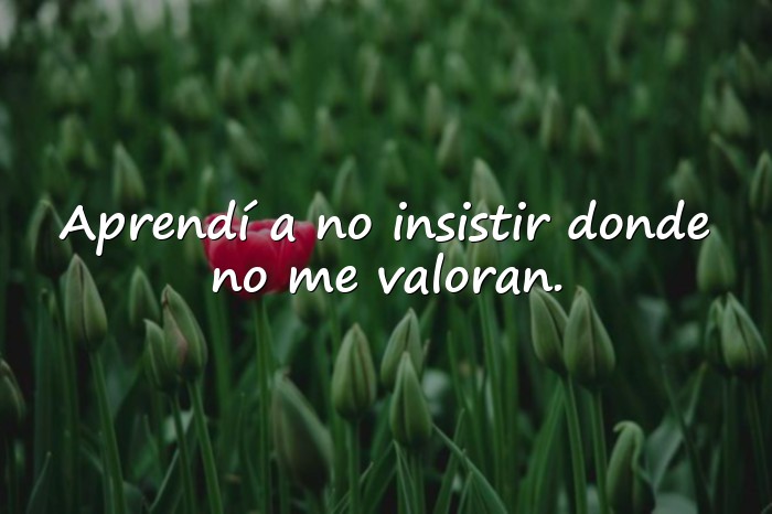 Imágenes frases con indirectas - 1