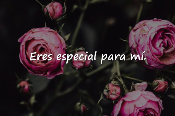 Imágenes frases cortas de amistad - 7