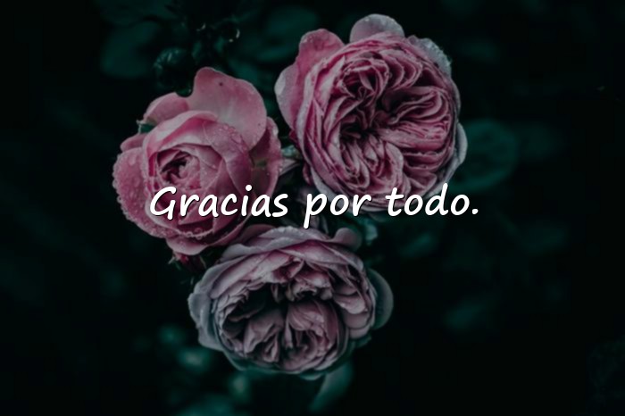 Imágenes frases cortas de amistad - 22