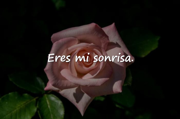 Imágenes frases cortas de amistad - 15