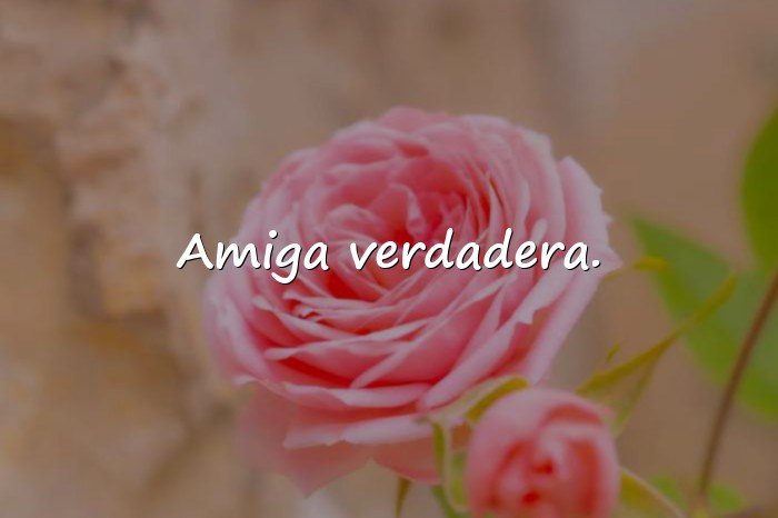 Imágenes frases cortas de amistad - 11