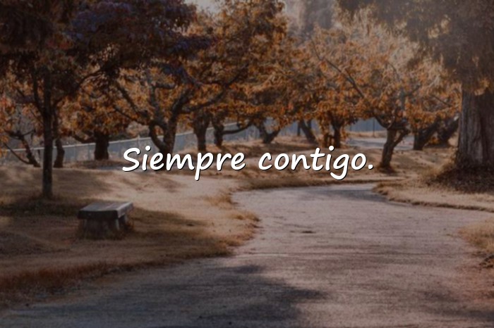 Imágenes frases cortas de amistad - 7