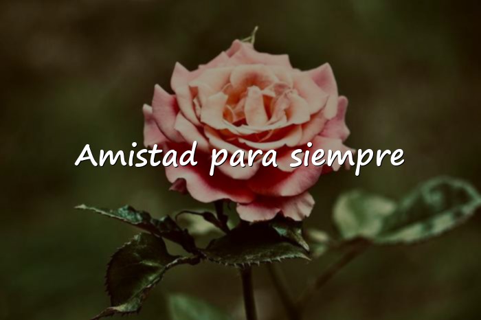 Imágenes frases cortas de amistad - 1
