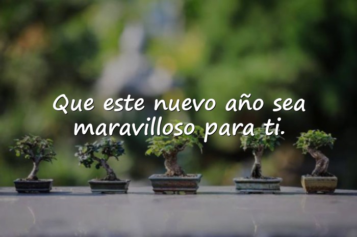 Imágenes frases cumpleaños - 1