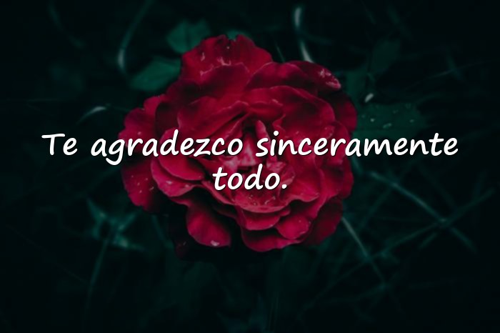 Imágenes frases de agradecimiento - 10