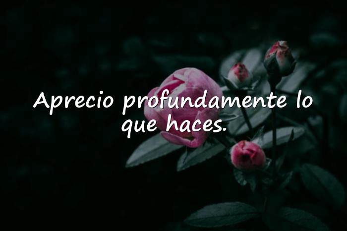 Imágenes frases de agradecimiento - 2