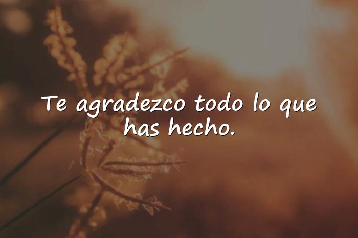 Imágenes frases de agradecimiento - 21