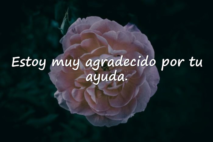 Imágenes frases de agradecimiento - 12