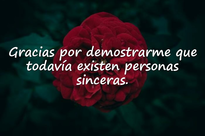 Imágenes frases de agradecimiento a una persona - 15