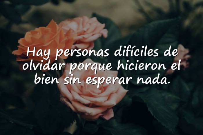 Imágenes frases de agradecimiento a una persona - 10