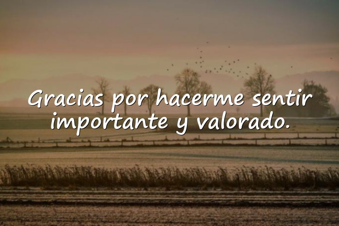 Imágenes frases de agradecimiento a una persona - 25