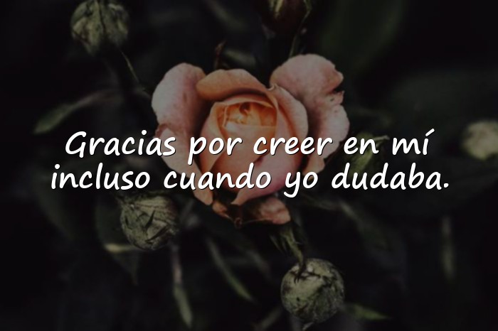 Imágenes frases de agradecimiento a una persona - 21