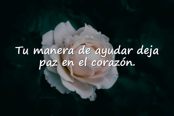 Imágenes frases de agradecimiento a una persona - 17
