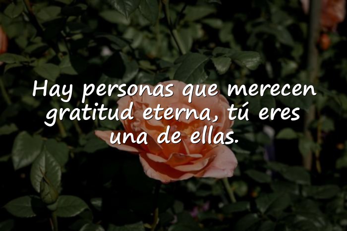 Imágenes frases de agradecimiento a una persona - 8