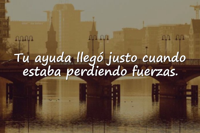 Imágenes frases de agradecimiento a una persona - 5