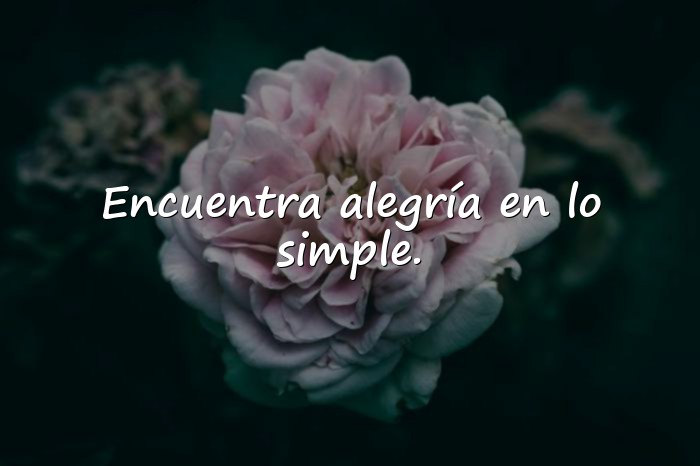 Imágenes frases de alegria - 7