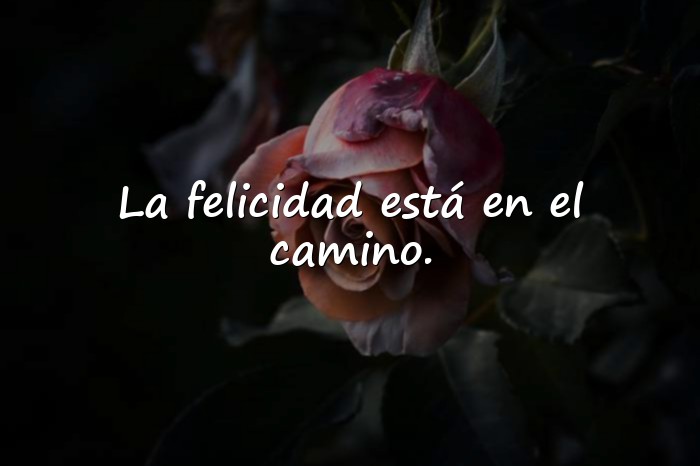 Imágenes frases de alegria - 19