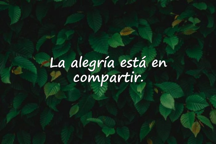 Imágenes frases de alegria - 10