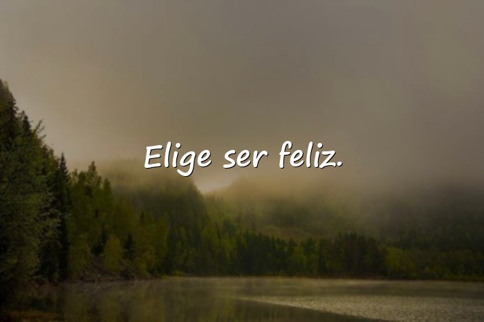 Imágenes frases de alegria - 6