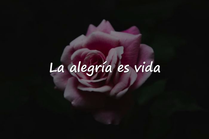Imágenes frases de alegria - 1