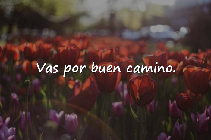 Imágenes frases de aliento - 22