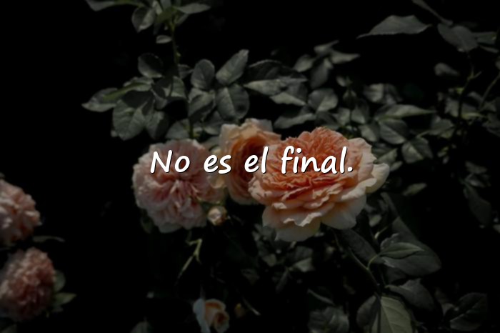 Imágenes frases de aliento - 10