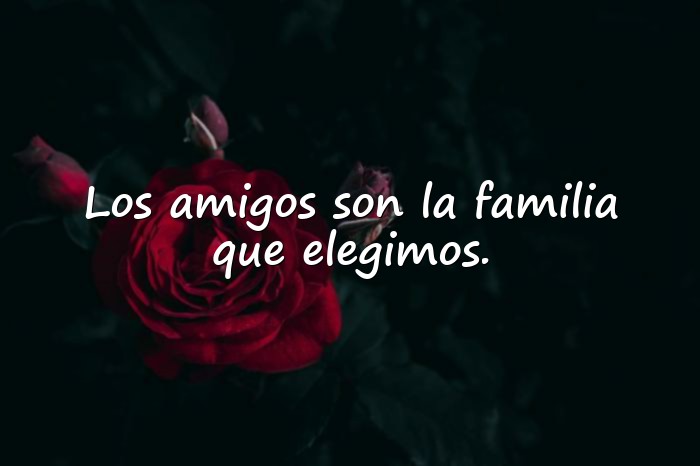Imágenes frases de amistad - 21