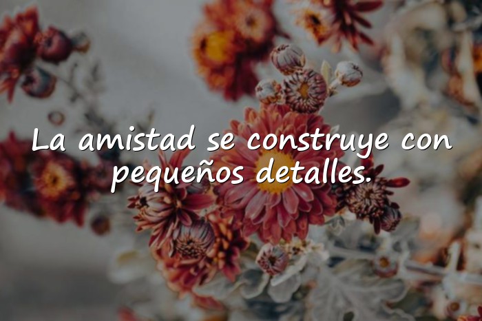 Imágenes frases de amistad - 16