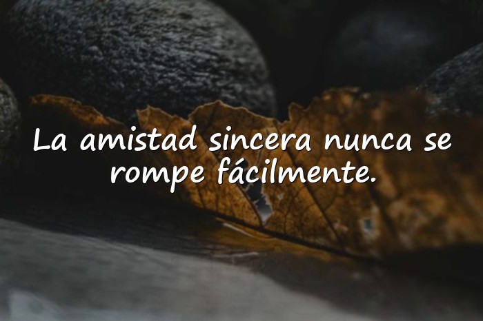 Imágenes frases de amistad - 11