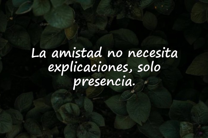 Imágenes frases de amistad - 6