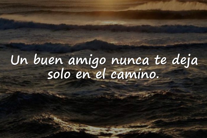 Imágenes frases de amistad - 1