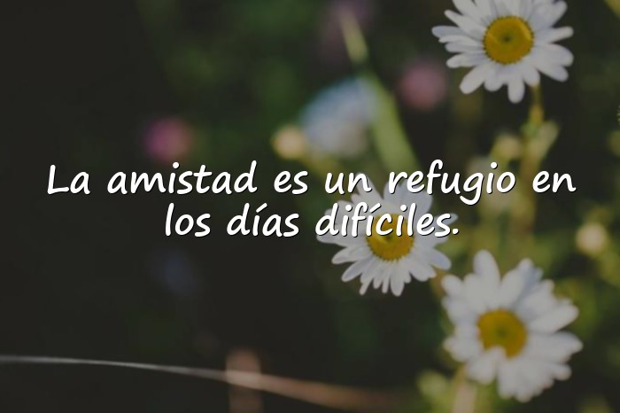 Imágenes frases de amistad - 21