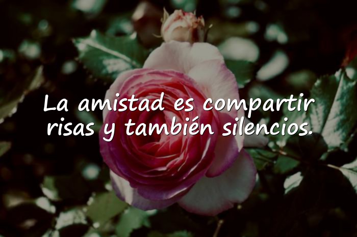 Imágenes frases de amistad - 16