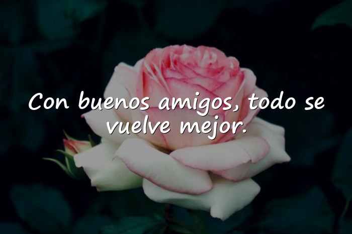 Imágenes frases de amistad - 1