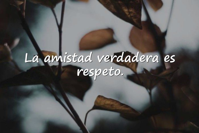 Imágenes frases de amistad verdadera - 17