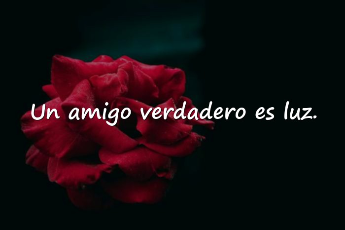 Imágenes frases de amistad verdadera - 13