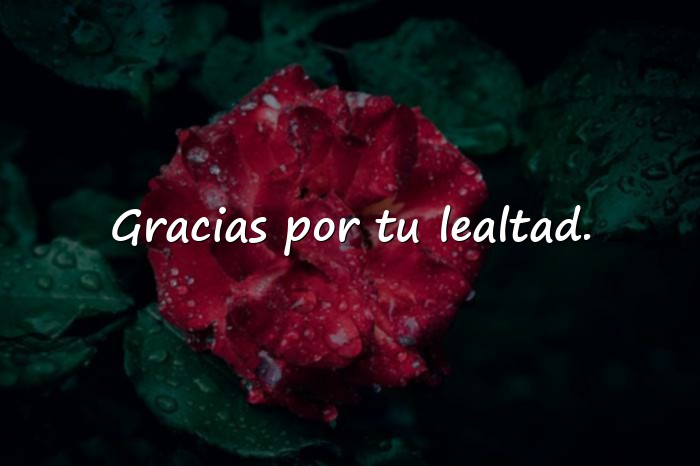 Imágenes frases de amistad verdadera - 5