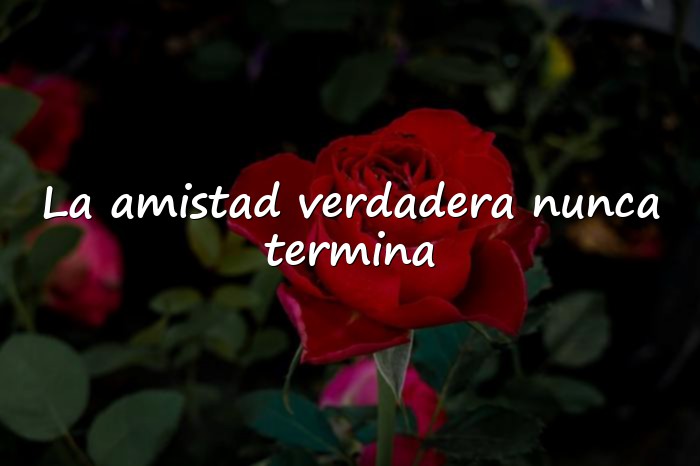 Imágenes frases de amistad verdadera - 1