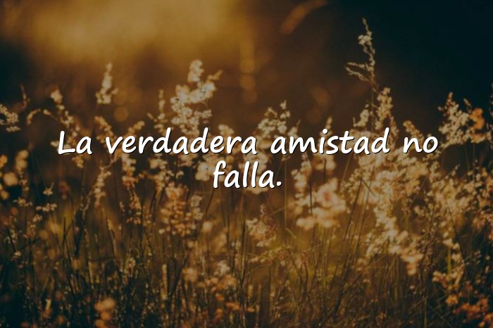 Imágenes frases de amistad verdadera - 12
