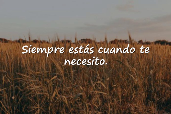Imágenes frases de amistad verdadera - 7