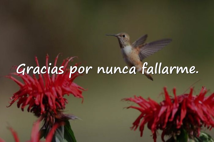 Imágenes frases de amistad verdadera - 3