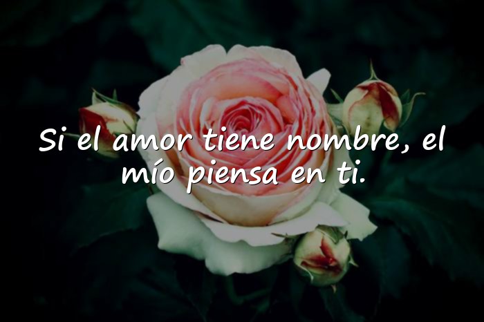 Imágenes frases de amor - 1
