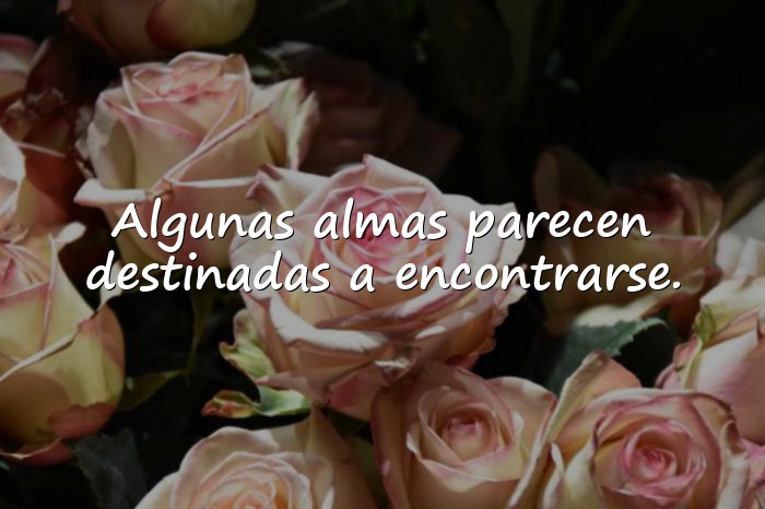 Imágenes frases de amor - 6