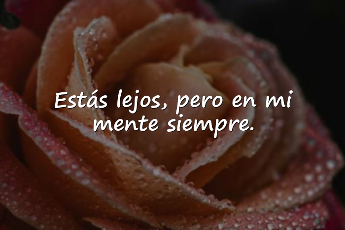 Imágenes frases de amor a distancia - 11