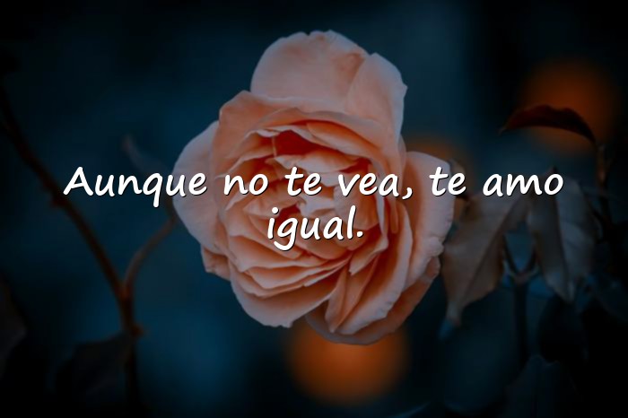 Imágenes frases de amor a distancia - 6