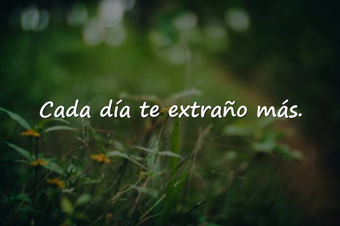 Imágenes frases de amor a distancia - 3