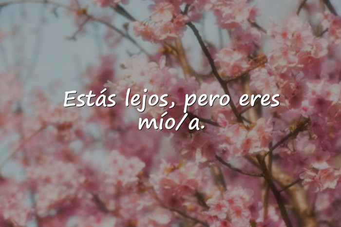 Imágenes frases de amor a distancia - 18