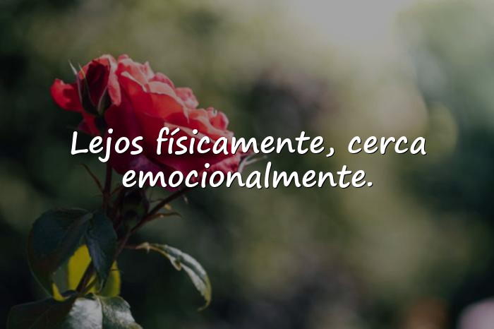 Imágenes frases de amor a distancia - 15