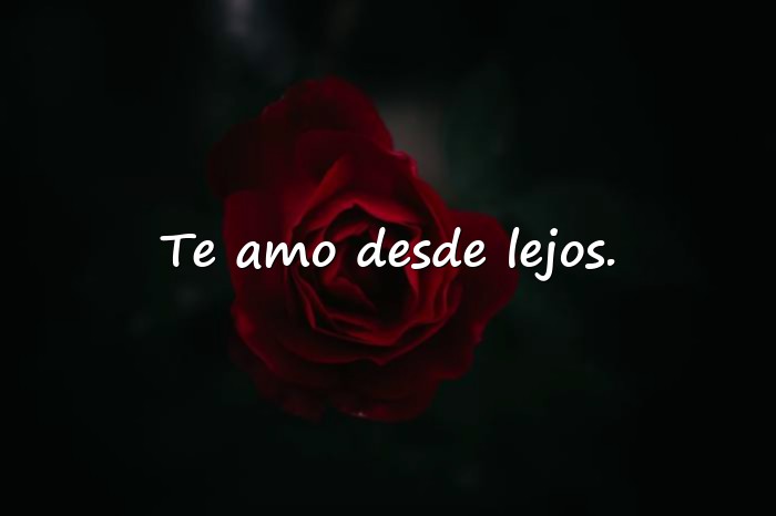 Imágenes frases de amor a distancia - 10