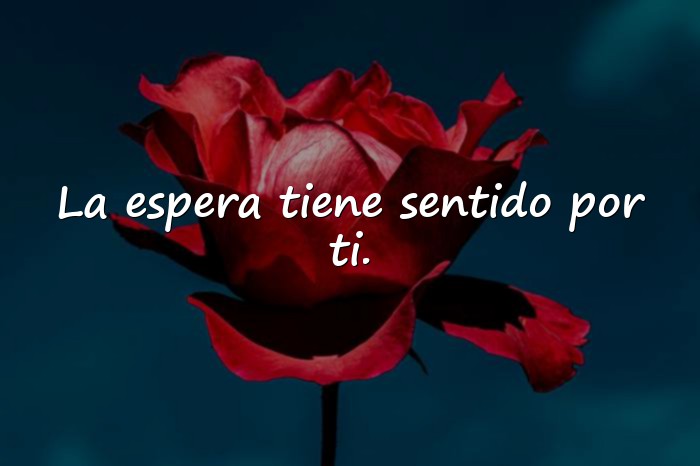 Imágenes frases de amor a distancia - 6